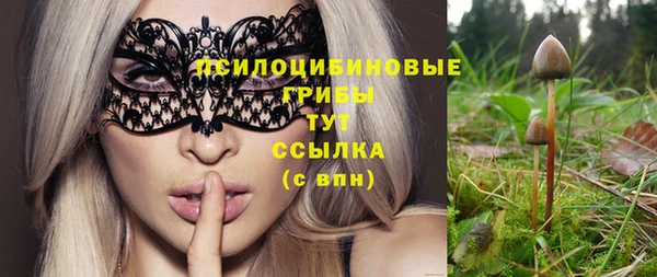 молекула духа Армянск