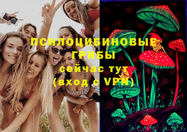 молекула духа Армянск