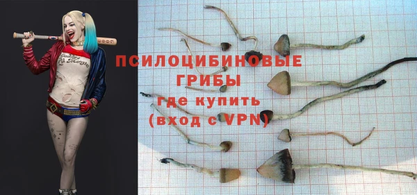 а пвп мука Алексеевка