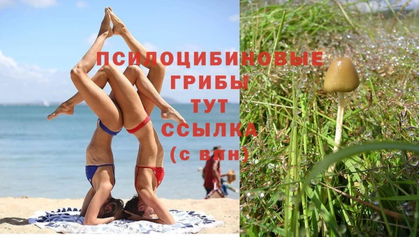 а пвп мука Алексеевка