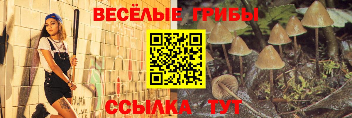 Галлюциногенные грибы Magic Shrooms  Новочебоксарск  Псилоцибиновые грибы Psilocybine cubensis 