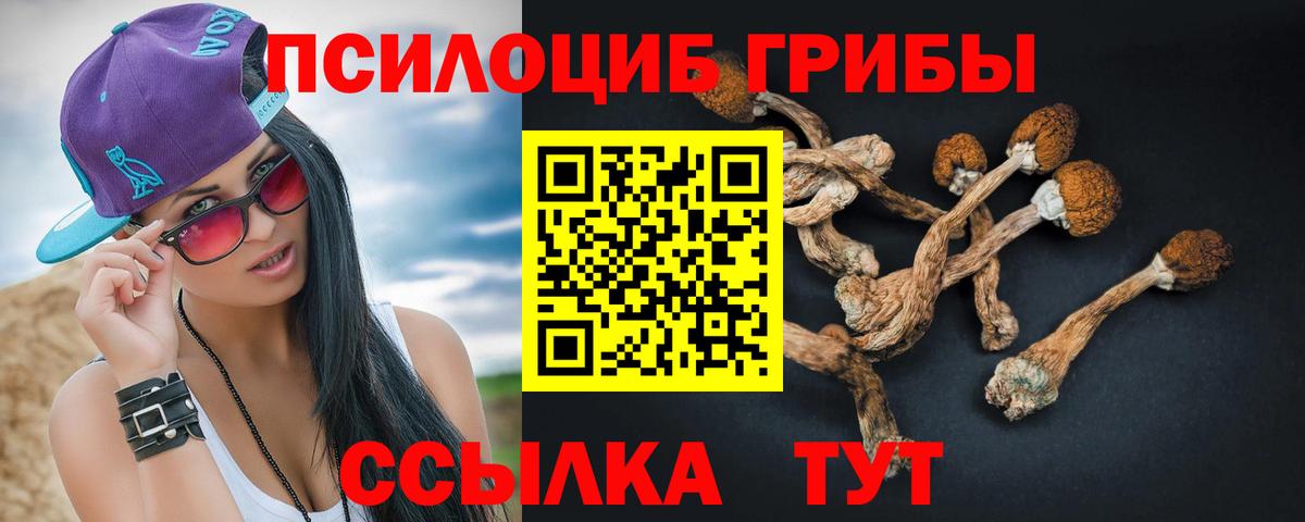 Галлюциногенные грибы ЛСД Новочебоксарск